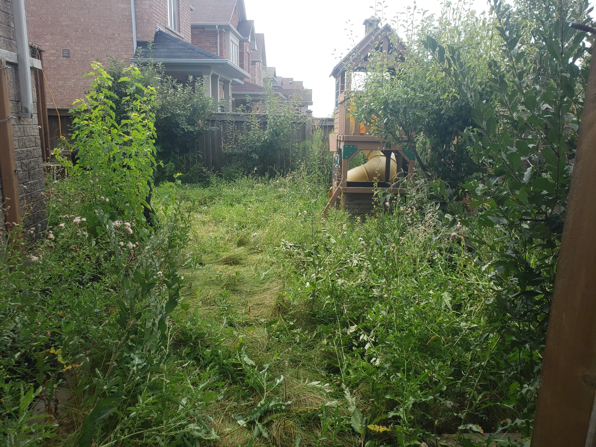 whatsapp image 2025 08 03 at 20.57.00 00a219c4